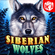 Sói Siberian